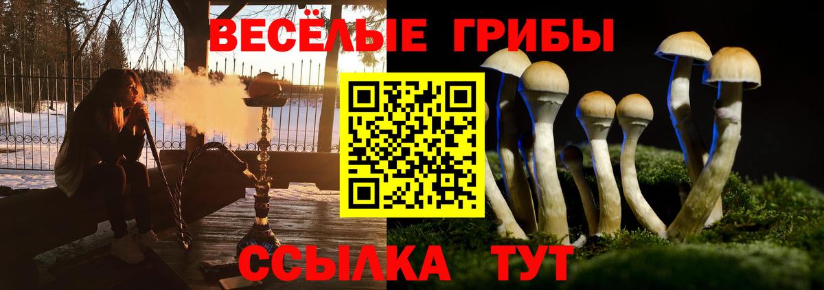 Псилоцибиновые грибы MAGIC MUSHROOMS Мыски