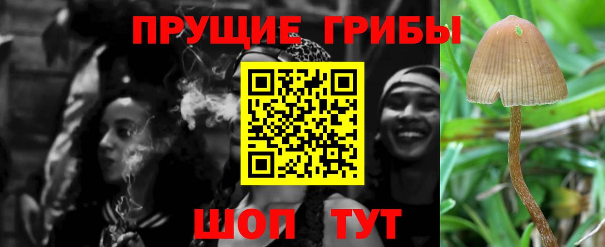 Мыски  Галлюциногенные грибы Magic Shrooms  Вход с VPN 