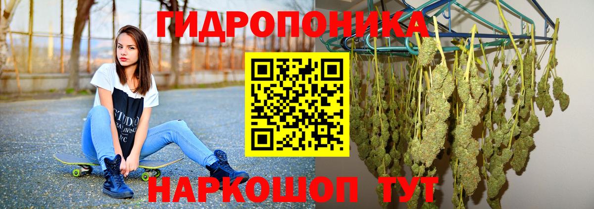 Каннабис сатива  Бошки марихуана марихуана  Мыски  Вход с VPN  Марихуана сатива  Канабис AK-47 